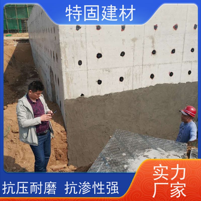环氧树脂修补砂浆 抗渗性强 长期生产供应 特固新型建材