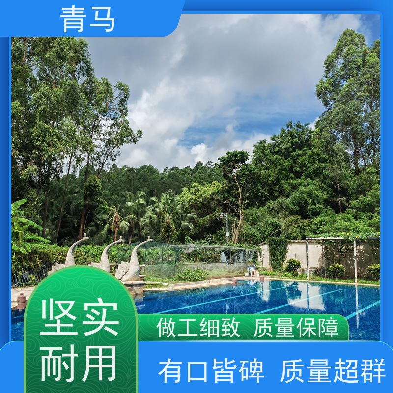 青马 户外泳池 适用于星级酒店 现代简约 多种颜色