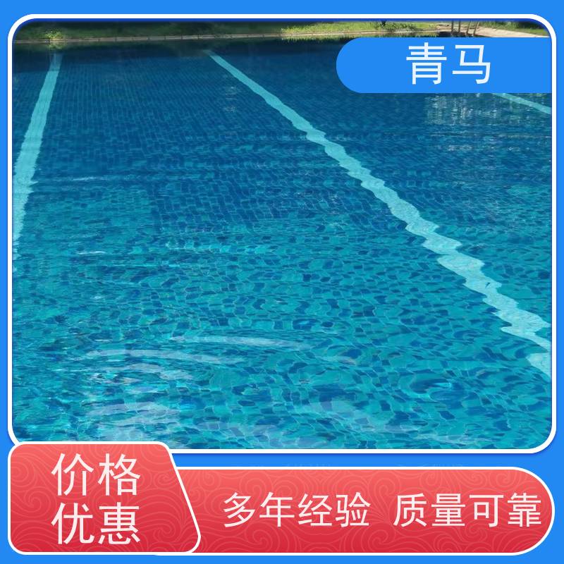 青马 私人游泳池 适用于水上乐园 按需定制 免费测量