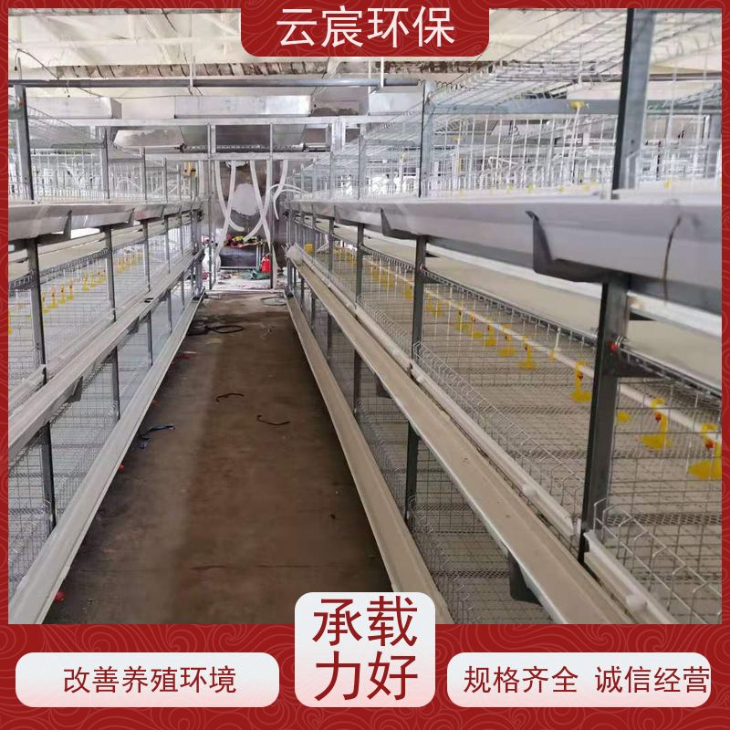 云宸环保 全自动肉鸡笼 层数组数可灵活定制 框架牢固