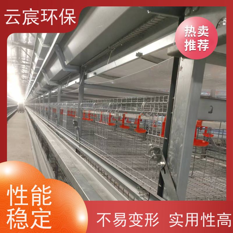 云宸环保 青年蛋鸡笼 全自动鸡场养殖设备 多层立体结构