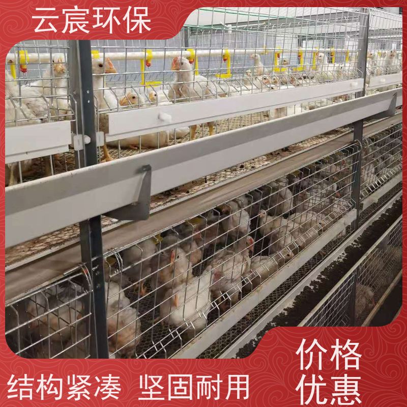 云宸环保 全自动框架肉鸡笼 层数组数可灵活定制 实用性高