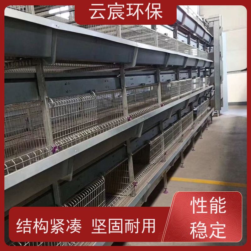 云宸环保 全自动青年鸡笼 大型鸡场养鸡设备 承载力好