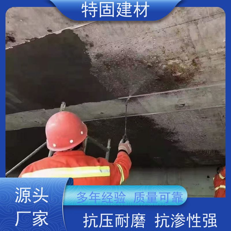 环氧树脂修补砂浆 抗压耐磨 长期生产供应 特固新型建材