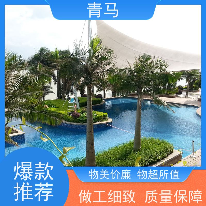 青马 无边界泳池 适用于体育馆 按需定制 免费测量