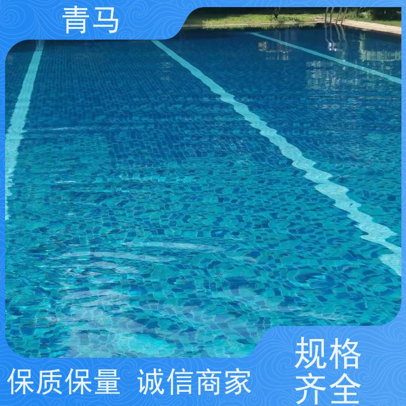 青马 酒店游泳池 适用于健身俱乐部 设计 施工 维护 一站式服务
