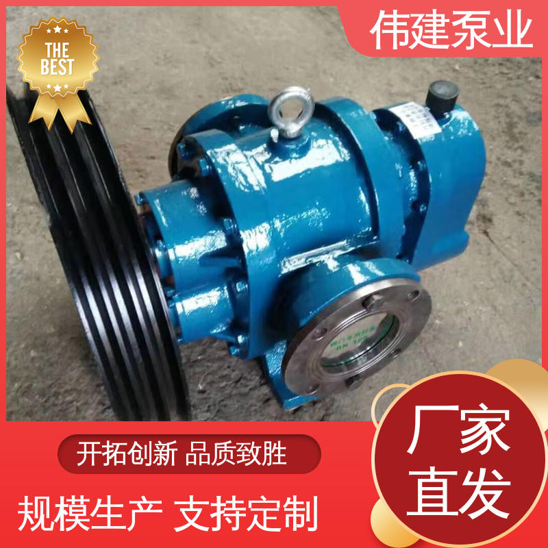 噪音小体积小 粘度物料输送用 罗茨油泵 支持定制 伟建供应