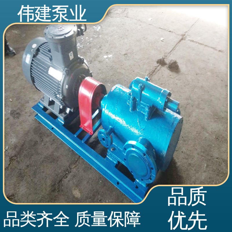 伟建生产 振动小噪音低 润滑性液体 库存充足 点火油泵 