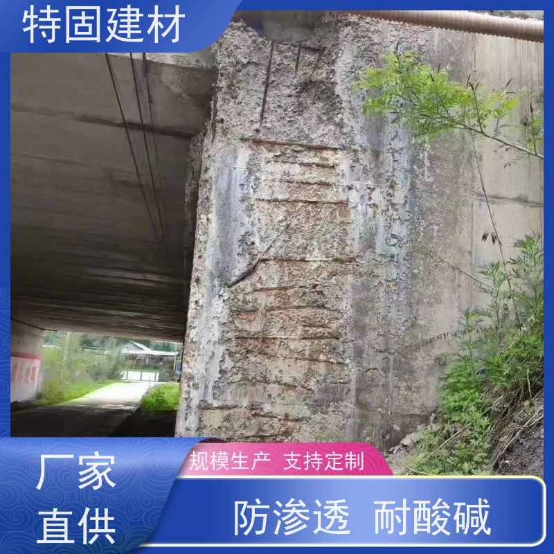 水性环氧树脂砂浆 耐酸碱耐腐蚀 厂家直供 特固建材