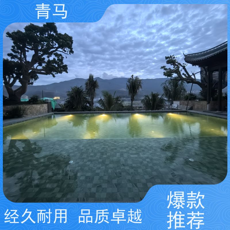 青马 私人游泳池 适用于星级酒店 现代简约 多种颜色