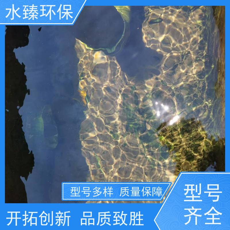 水臻环保 MBR集成设备 污泥接近零排放 适用于生活污水处理
