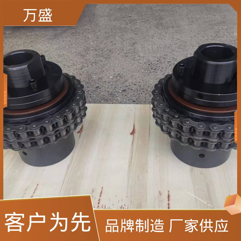 安装方便 2GLD1 精密滚子链联轴器 风机专用 万盛