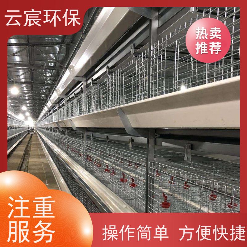 云宸环保 多层青年鸡笼子 改善养殖环境 不易腐蚀