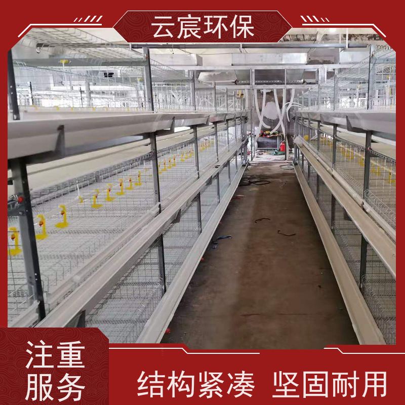 云宸环保 框架式肉鸡笼 自动化清粪捡蛋养殖设备 实用性高