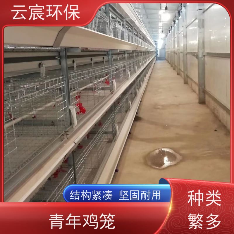 云宸环保 自动化青年鸡养殖笼 层数组数可灵活定制 节省人工