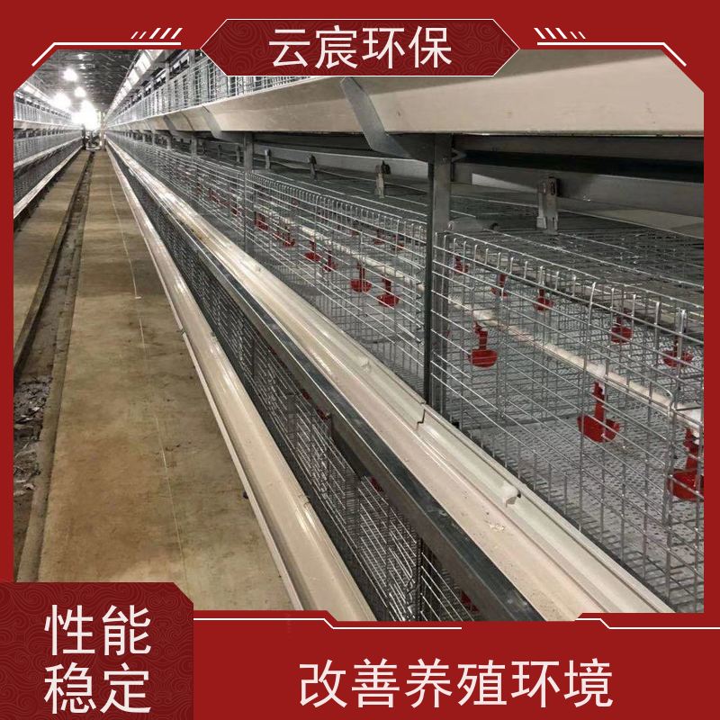 云宸环保 青年鸡笼 鸡场养殖自动化设备 省时省力