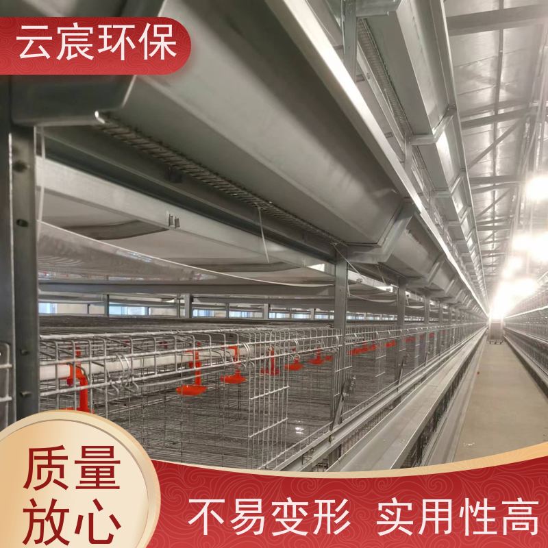云宸环保 全自动青年鸡笼 加粗养殖笼 坚固耐用