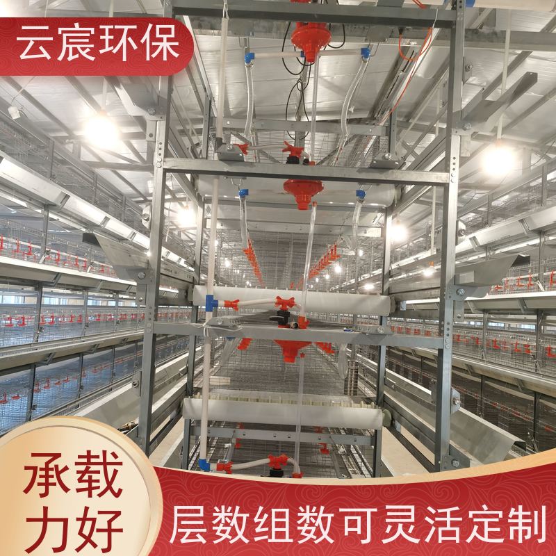 云宸环保 青年蛋鸡笼 层数组数可灵活定制 多层立体结构