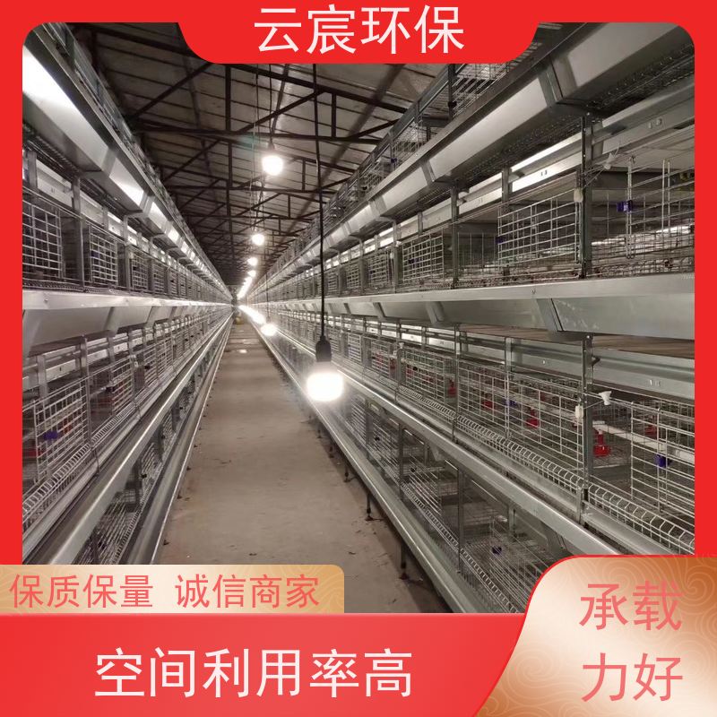 云宸环保 全自动青年鸡笼 镀锌养鸡设备 不易生锈