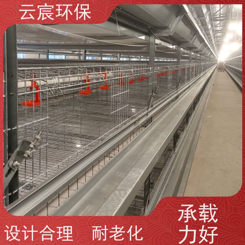 云宸环保 青年蛋鸡笼 加粗镀锌工艺养殖设备 多层立体结构