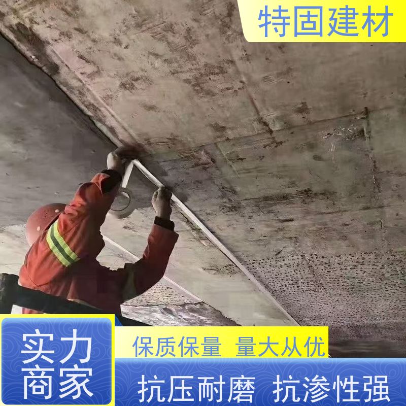 修补加固防水砂浆 流动性能强 免费指导 源头工厂 特固新型建材