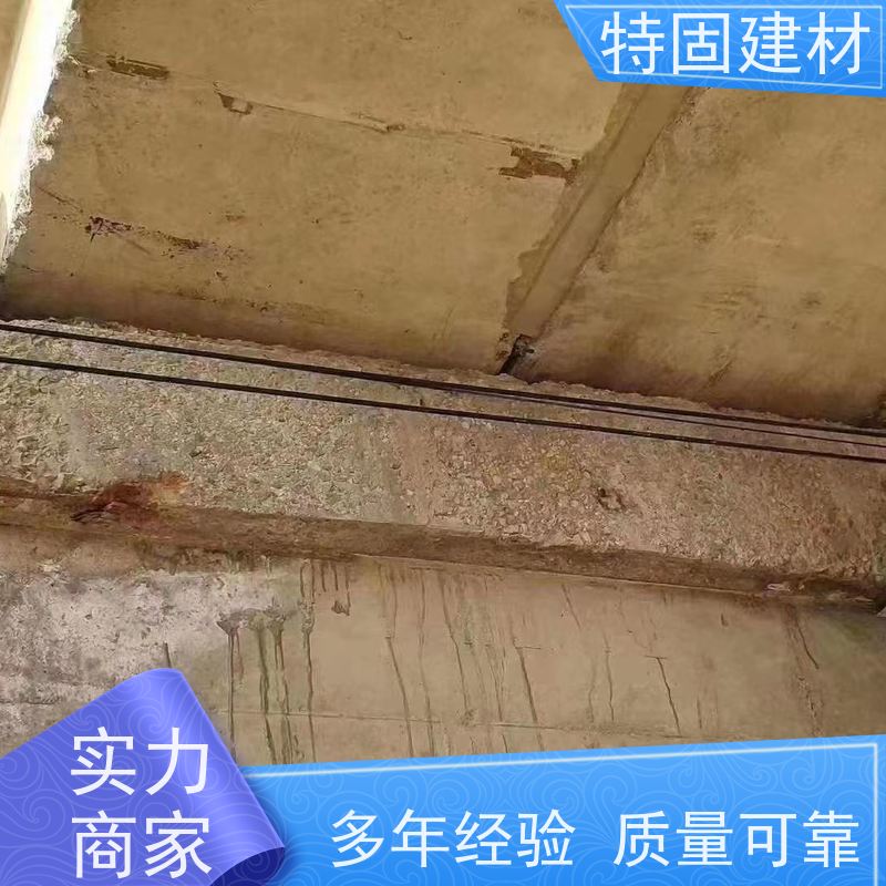 聚合物修补砂浆 抗渗性强 免费指导 源头工厂 特固建材