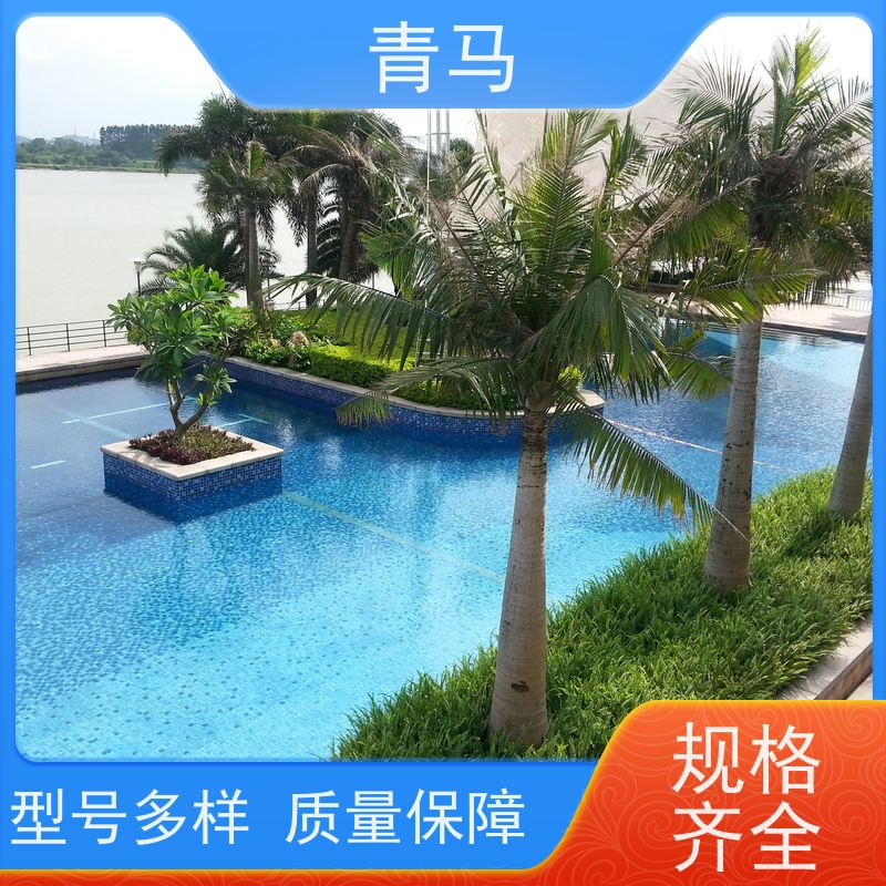 青马 温泉游泳池 适用于星级酒店 按需定制 免费测量