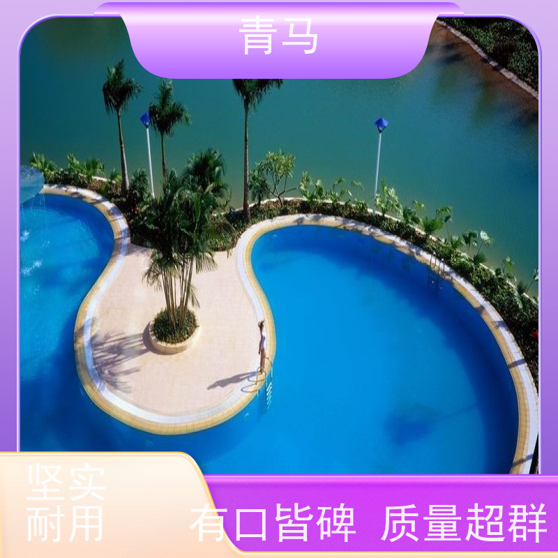 青马 豪华泳池 适用于温泉度假村 按需定制 免费测量