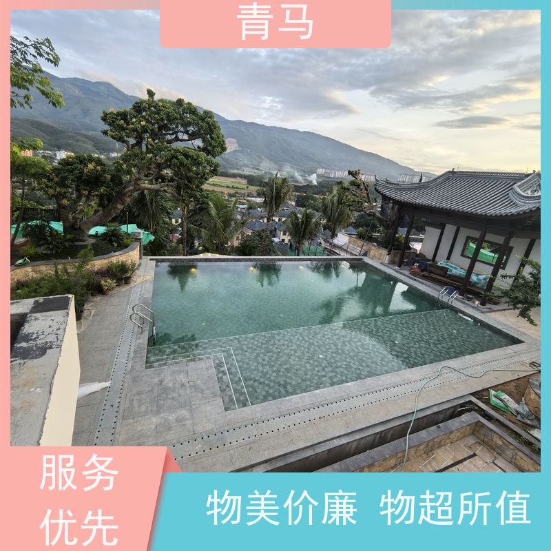 青马 屋顶游泳池 适用于健身俱乐部 现代简约 多种颜色