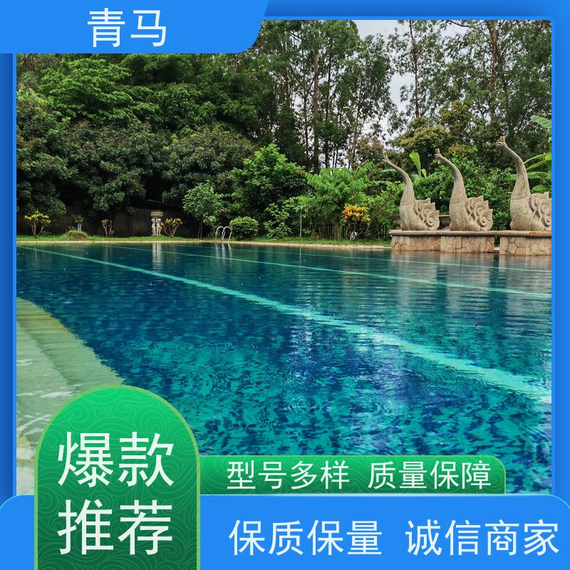 青马 学校游泳池 适用于体育馆 设计 施工 维护 一站式服务