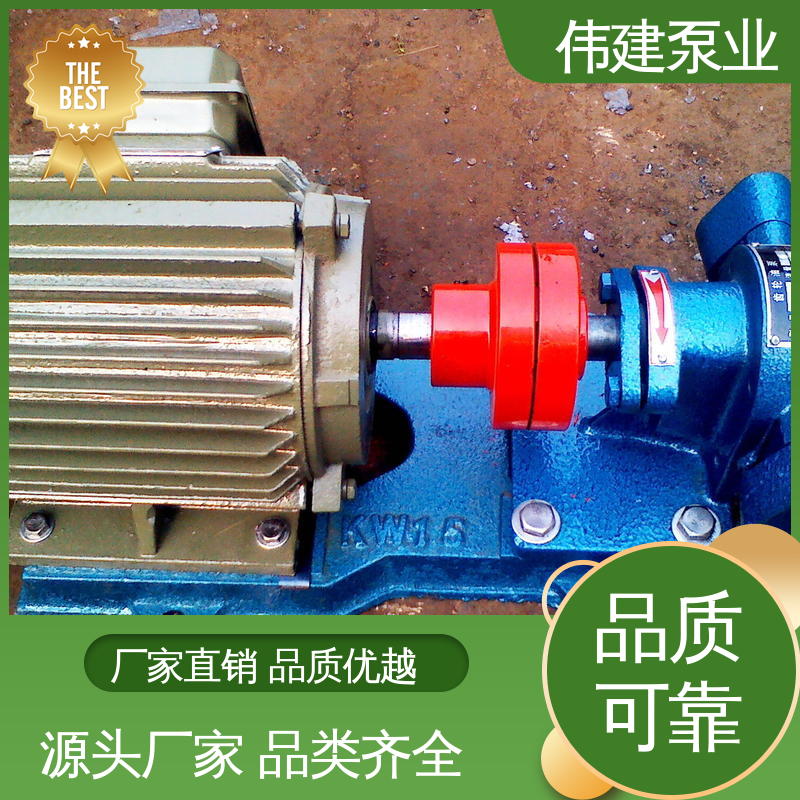 伟建生产 豆浆豆渣用 耐磨性能好 规格齐全 电动齿轮泵