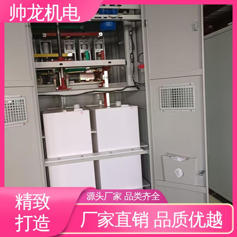 软起动器 化学厂/矿厂 工艺精湛 提供技术服务 应用广泛 资质齐全 帅龙