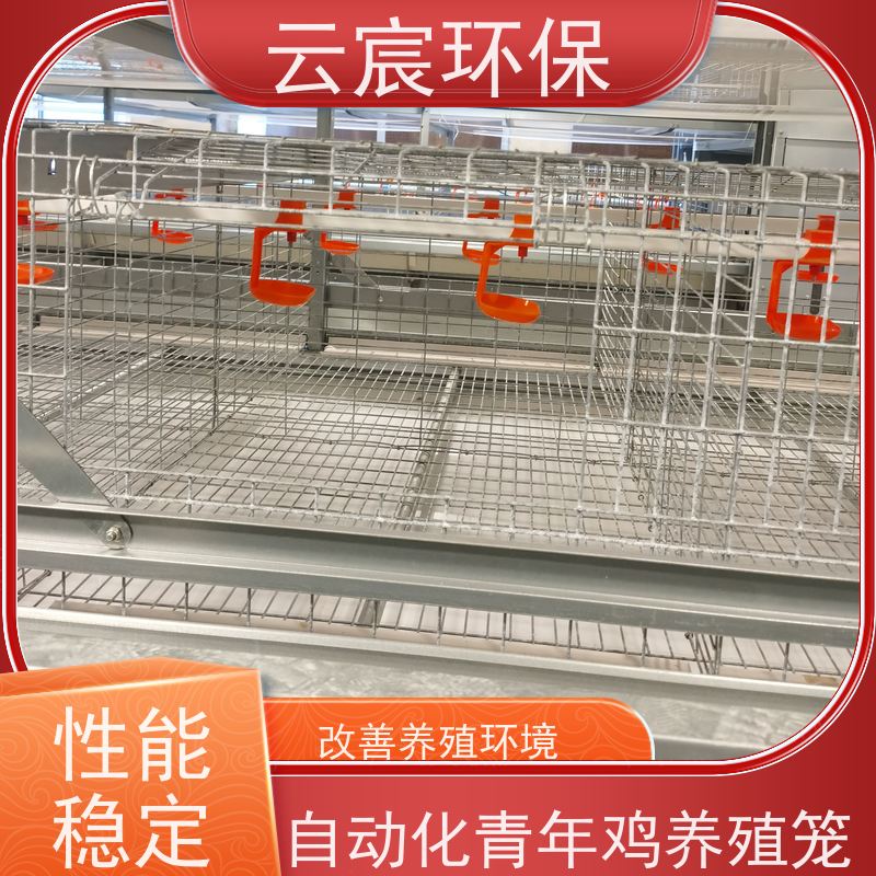 云宸环保 立体式青年鸡笼 镀锌养鸡设备 结实耐用