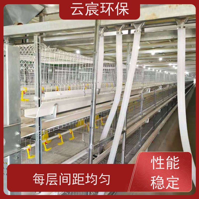 云宸环保 框架式肉鸡笼 养鸡场全自动化养殖设备 实用性高