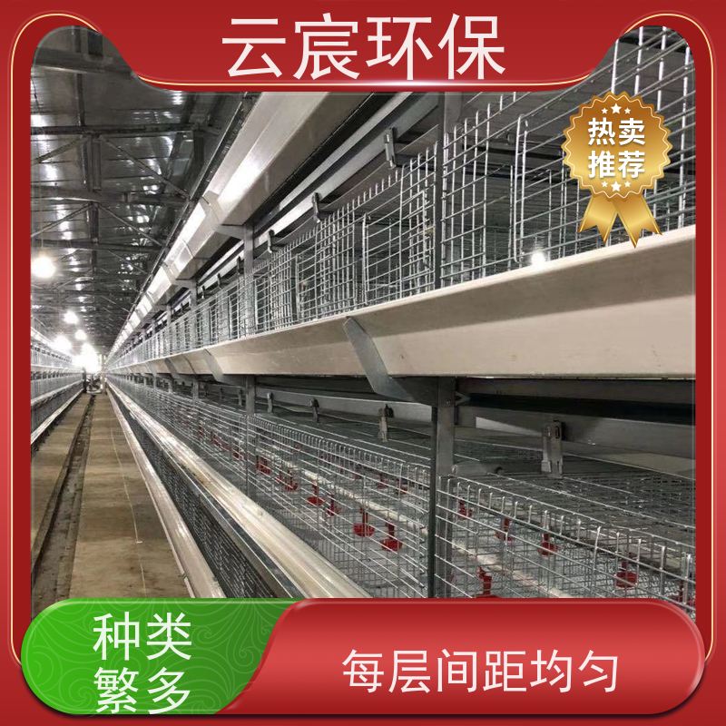 云宸环保 青年蛋鸡笼 大型鸡场养鸡设备 材质优良 耐老化