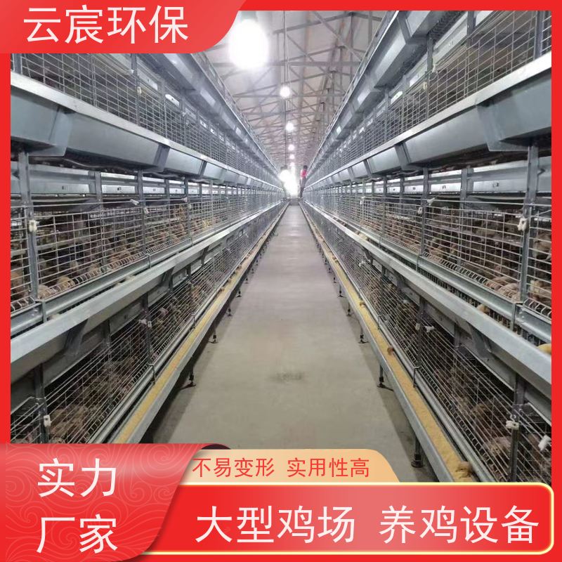 云宸环保 立体式青年鸡笼 鸡场养殖自动化设备 框架牢固