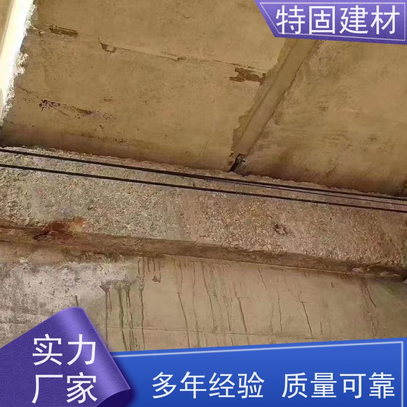 聚合物修补砂浆 流动性能强 厂家直供 特固建材