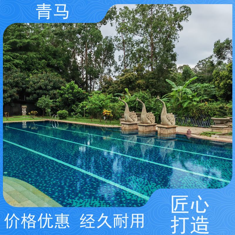 青马 休闲游泳池 适用于体育馆 现代简约 多种颜色