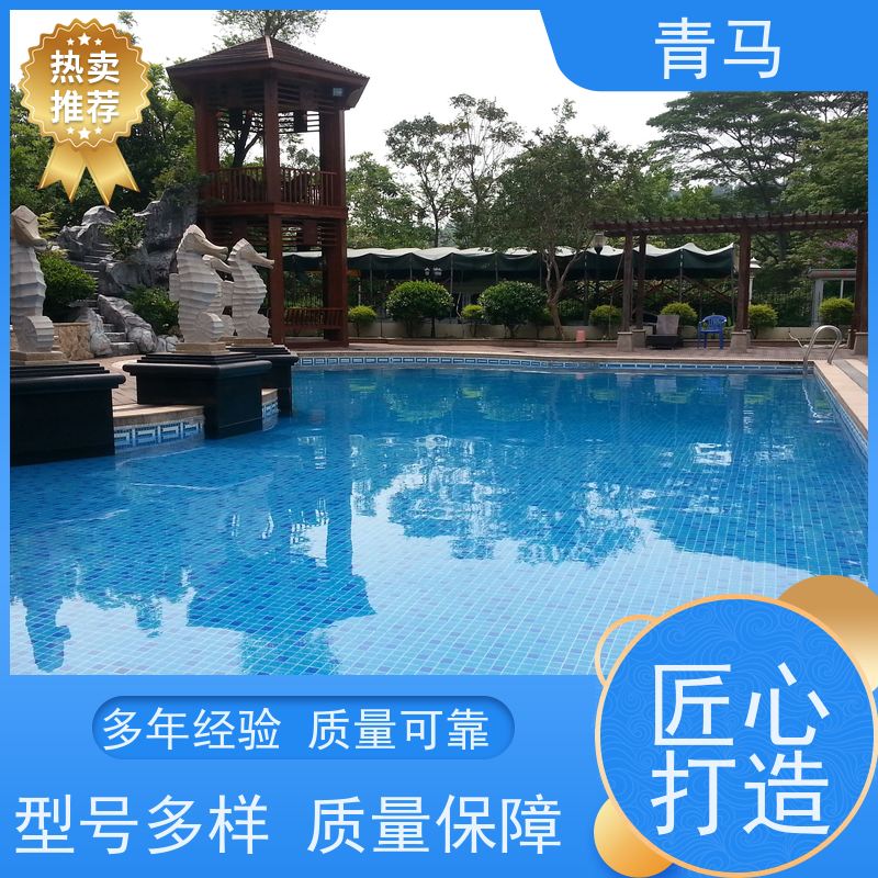 青马 室内泳池 适用于水上乐园 按需定制 免费测量