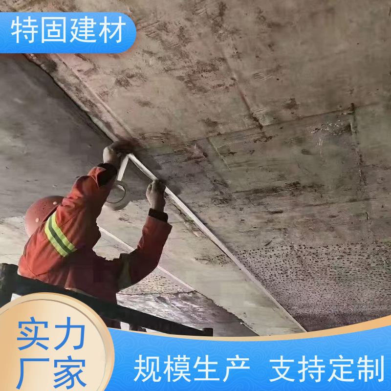 环氧树脂砂浆 墙面修补加固 厂家直供 特固建材