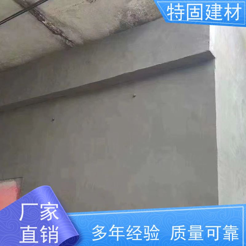 聚合物防水砂浆 防渗透耐酸碱 生产周期短 特固新型建材