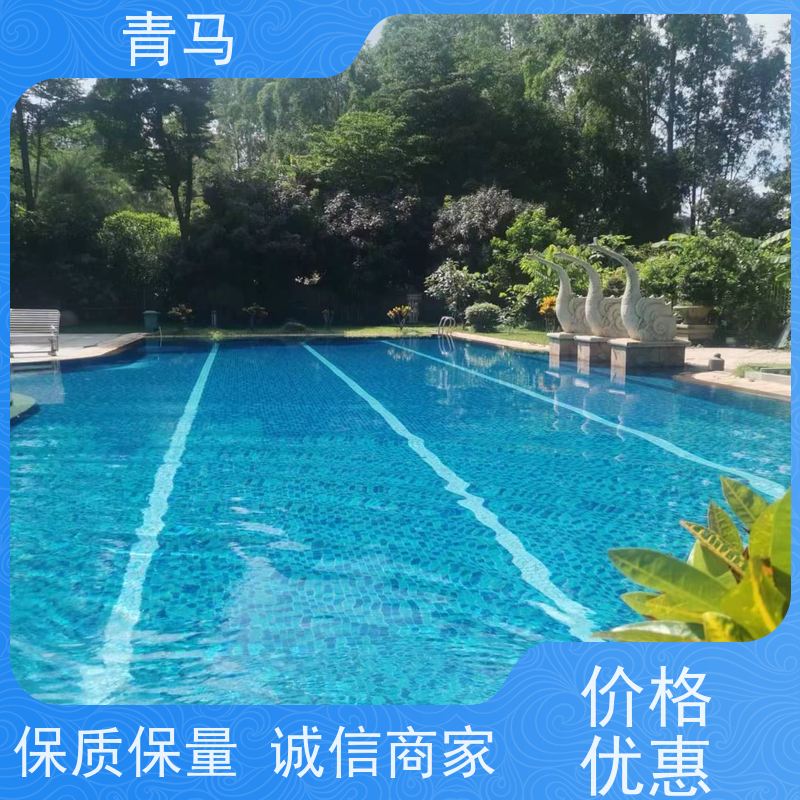 青马 室内泳池 适用于体育馆 设计 施工 维护 一站式服务