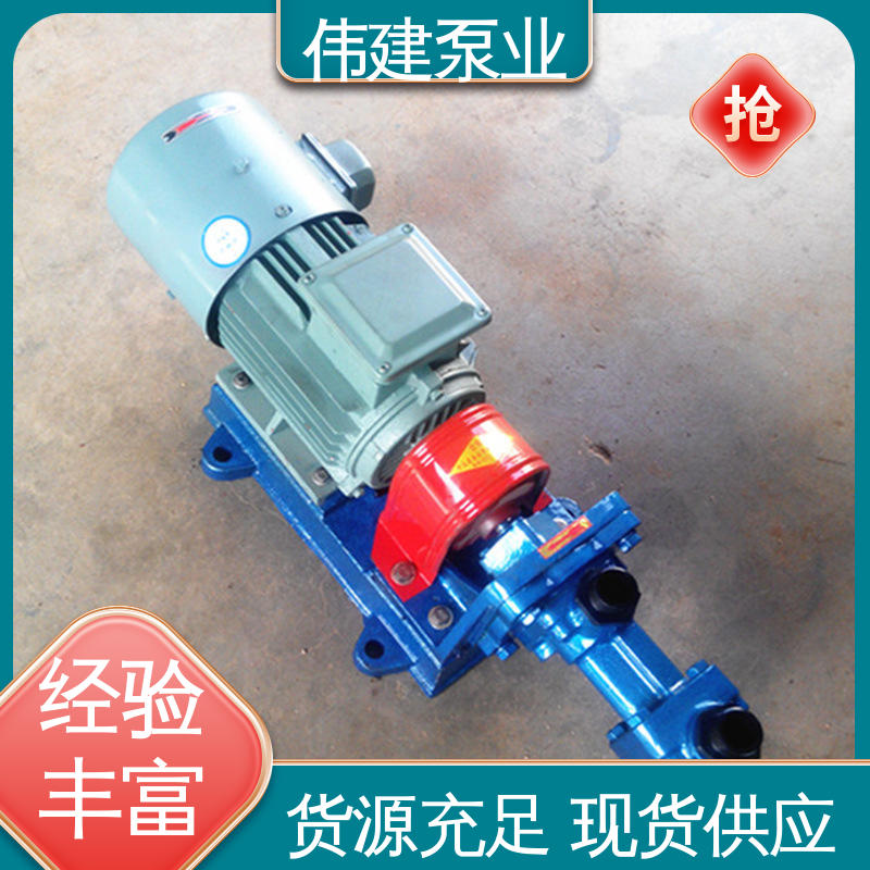 伟建生产 现货直发 增压燃油喷射 可定制 高粘度重油泵