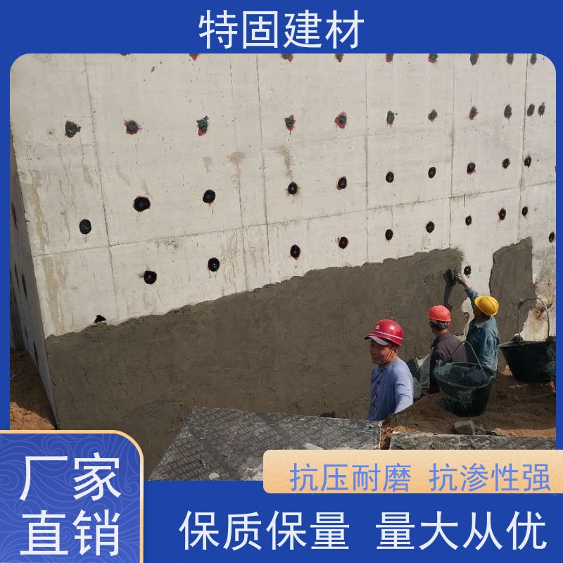 环氧树脂修补砂浆 高强度抗压 产地货源 常年供应 特固新型建材