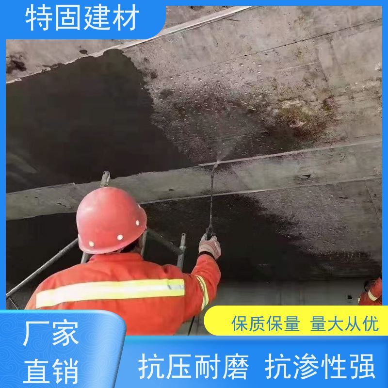高强环氧树脂砂浆 墙面修补加固 规格齐全 生产厂家 特固建材