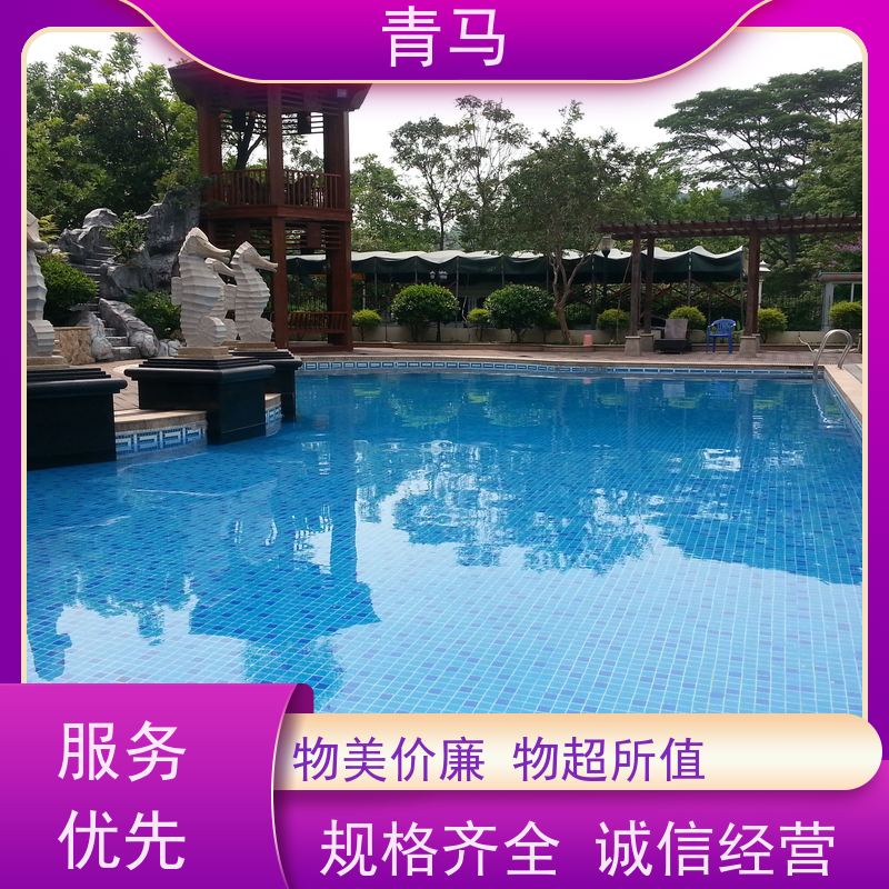 青马 无边际泳池 适用于水上乐园 按需定制 免费测量