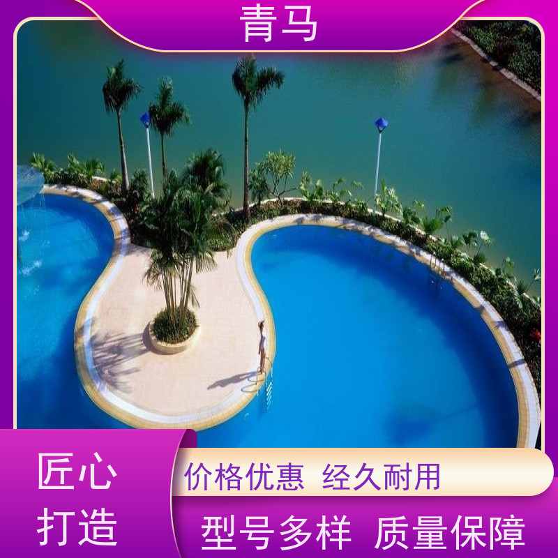 青马 家用游泳池 适用于星级酒店 按需定制 免费测量