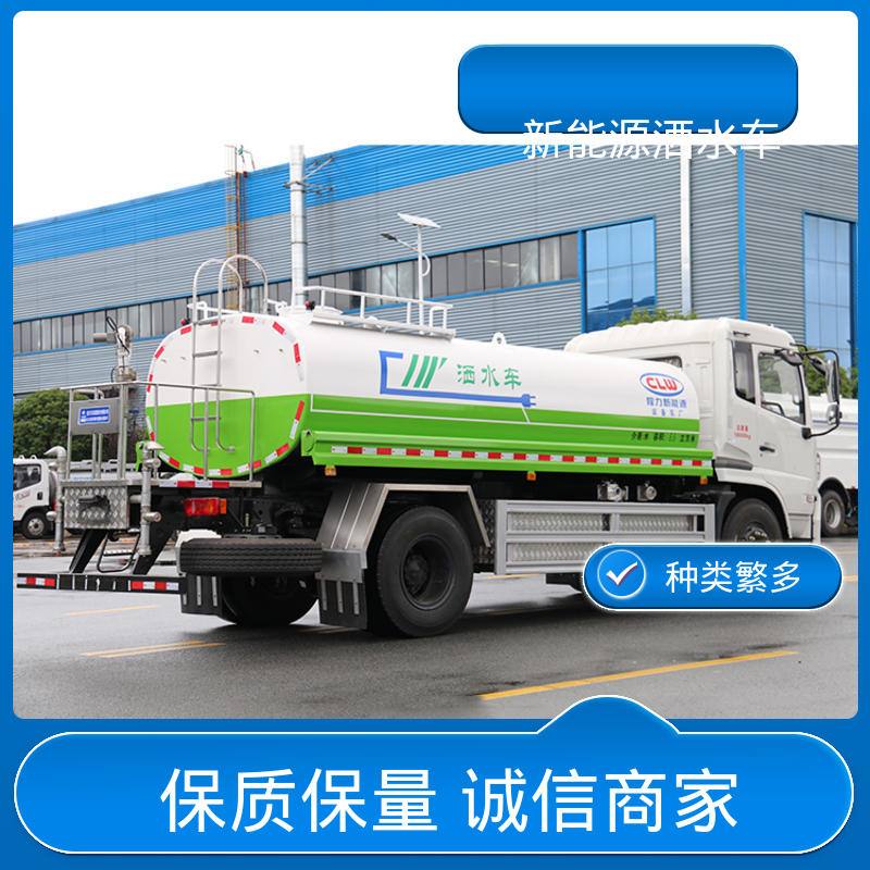 程力 小型新能源 多功能洒水车 可定制生产 包上牌 可加装选装喷雾机