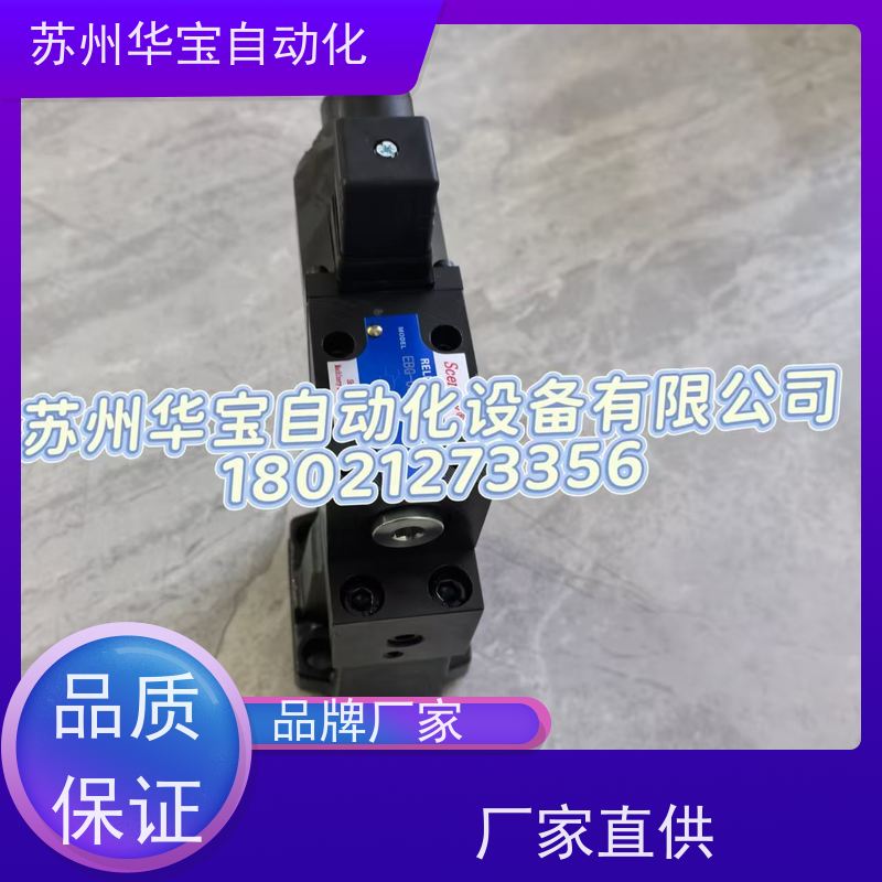 塞纳瑞液压油泵 SCENERY油泵S25V21A-1C22R S25V19A-86C22R电动