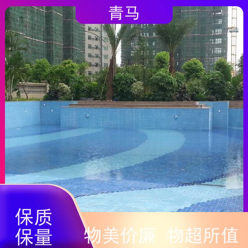青马 成人泳池 适用于星级酒店 按需定制 免费测量